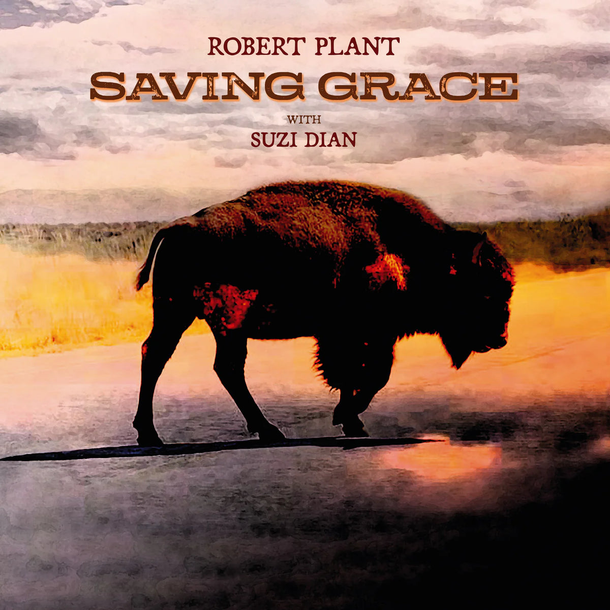 Robert Plant with Suzi Dian - Saving Grace CD, Album, Digipak