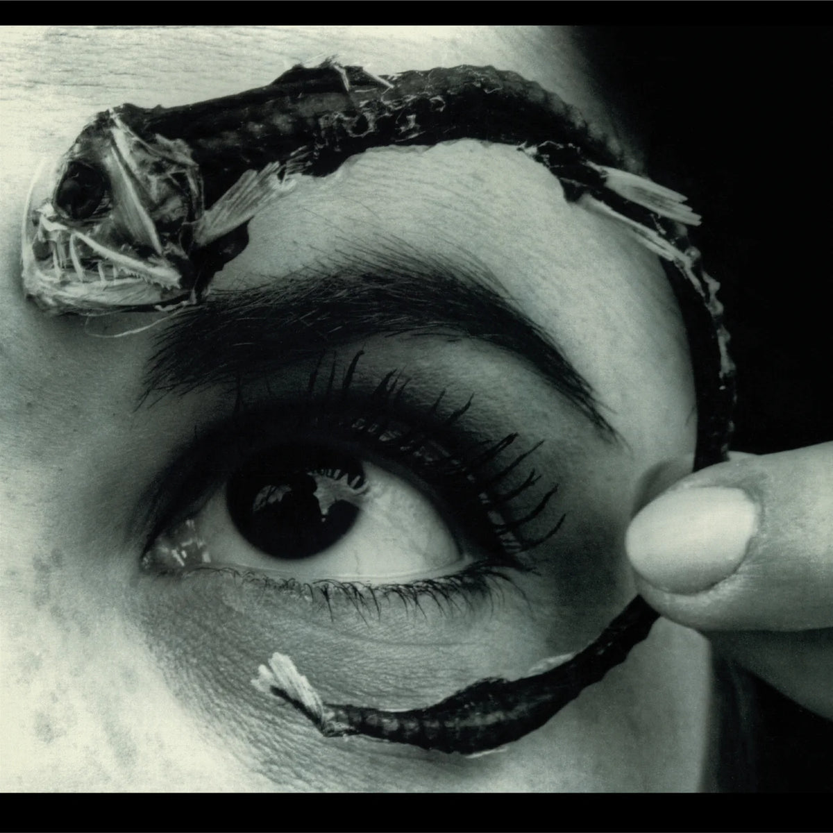 Mr. Bungle - Disco Volante 2 x Vinyle, LP, Album, Réédition, Translucent Light Blue