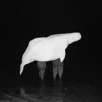 Safia Nolin - Ufo Religion Vinyle, LP, Album