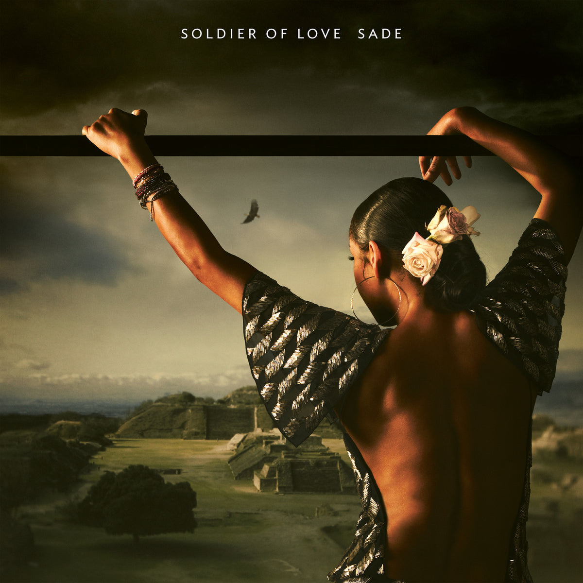 Sade – Soldier Of Love  Vinyle, LP, Album, Réédition, Gatefold, 180g