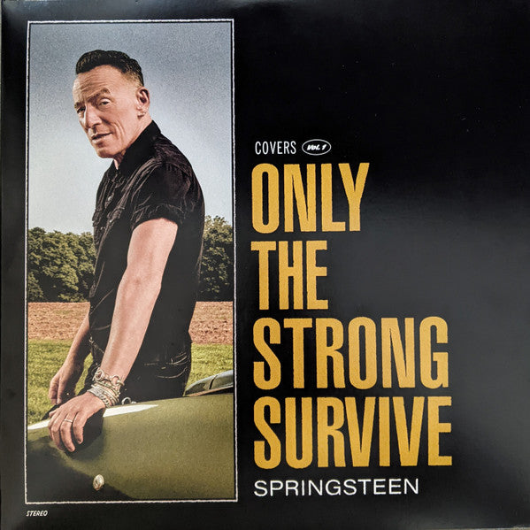 Bruce Springsteen – Only The Strong Survive 2 x Vinyle, LP, Album