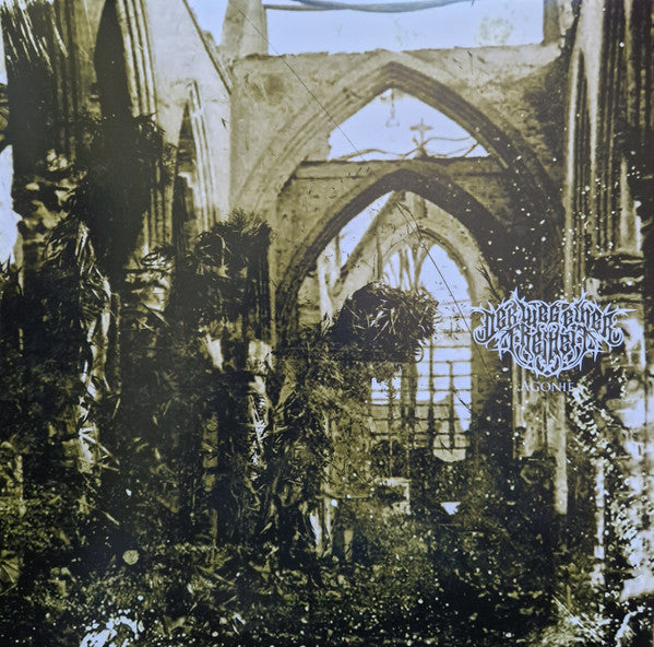 Der Weg Einer Freiheit – Agonie  Vinyle, 12", EP, Édition Limitée, Repress, Solid Silver & Black