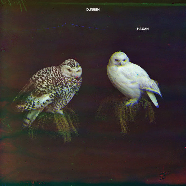 Dungen – Häxan CD, Album