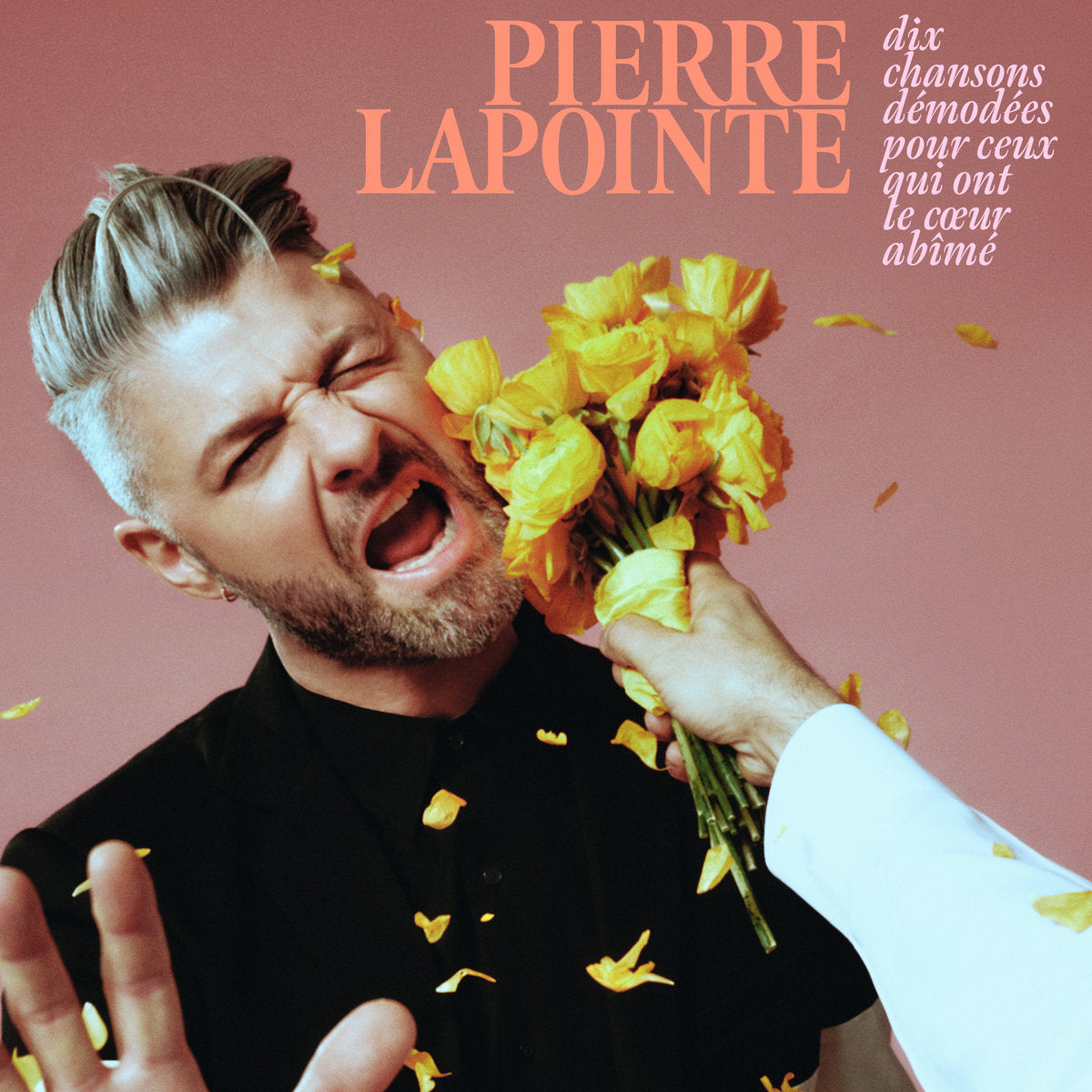 Pierre Lapointe – Dix Chansons Démodées Pour Ceux Qui Ont Le Cœur Abîmé  Vinyle, LP, Album