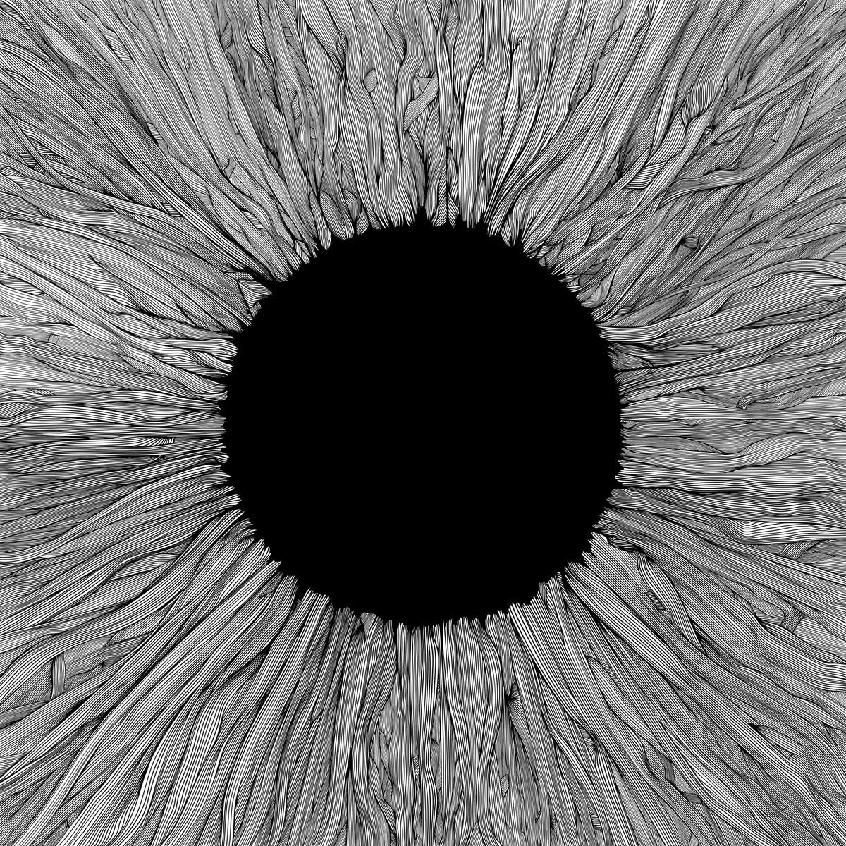 VOLA – Witness LP, Album, Édition Limitée, Transparent & Black Smoke Marble