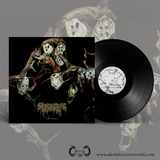 Spectral Voice – Sparagmos  Vinyle, LP, Album