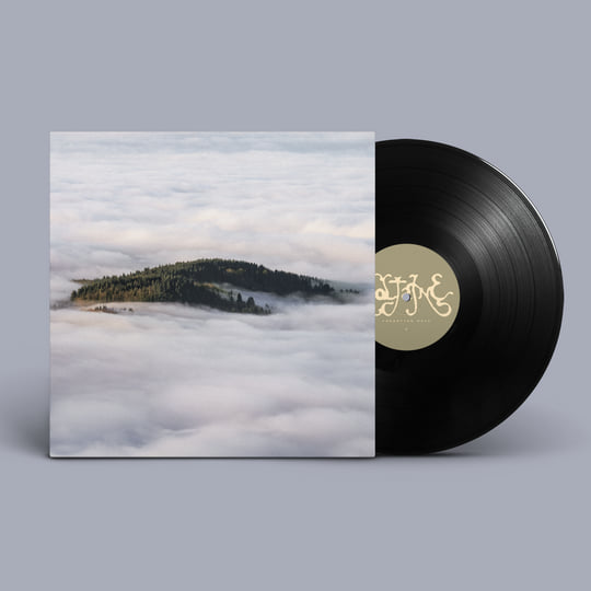 Coltaine – Forgotten Ways Vinyle, LP, Album