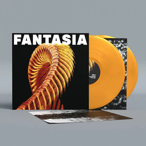 Slift – Fantasia 2 x Vinyle, LP, Édition Limitée, Loser Edition, Mustard