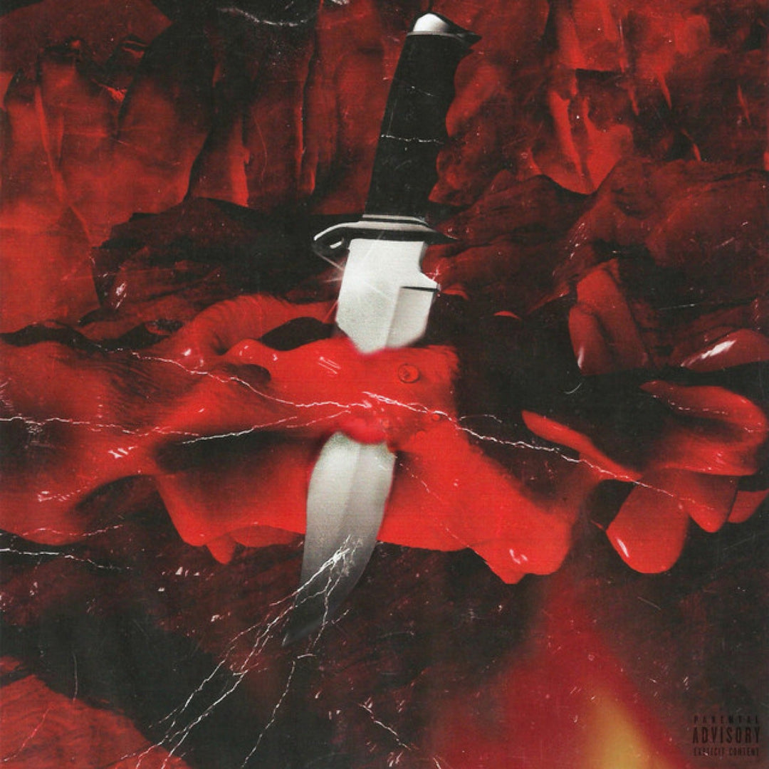 21 Savage & Metro Boomin – Savage Mode – pochette