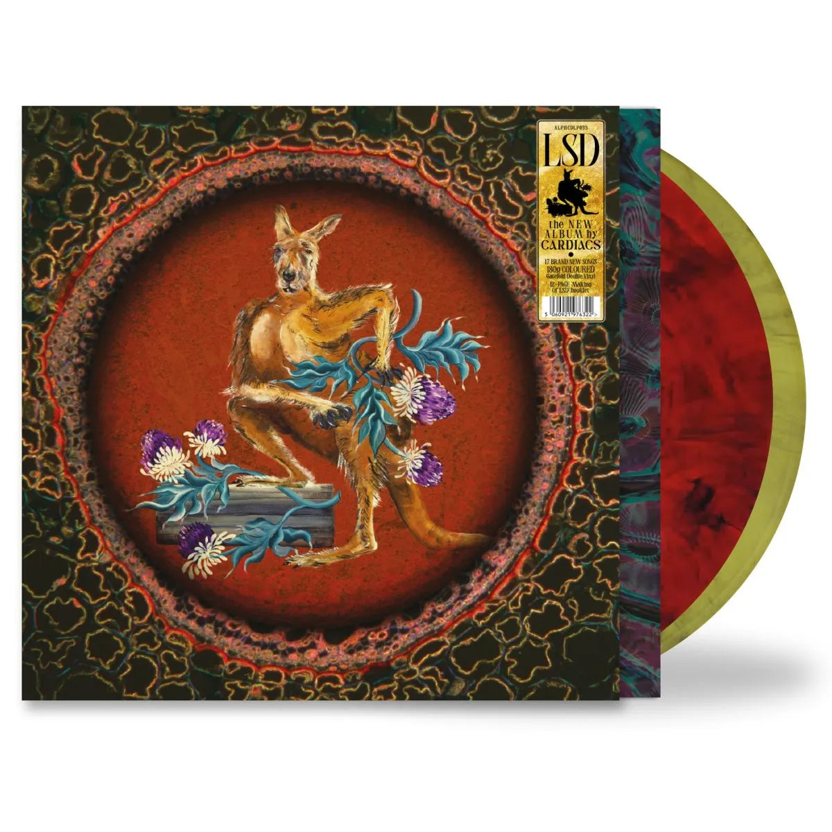 Cardiacs – LSD  2 x Vinyle, LP, Album