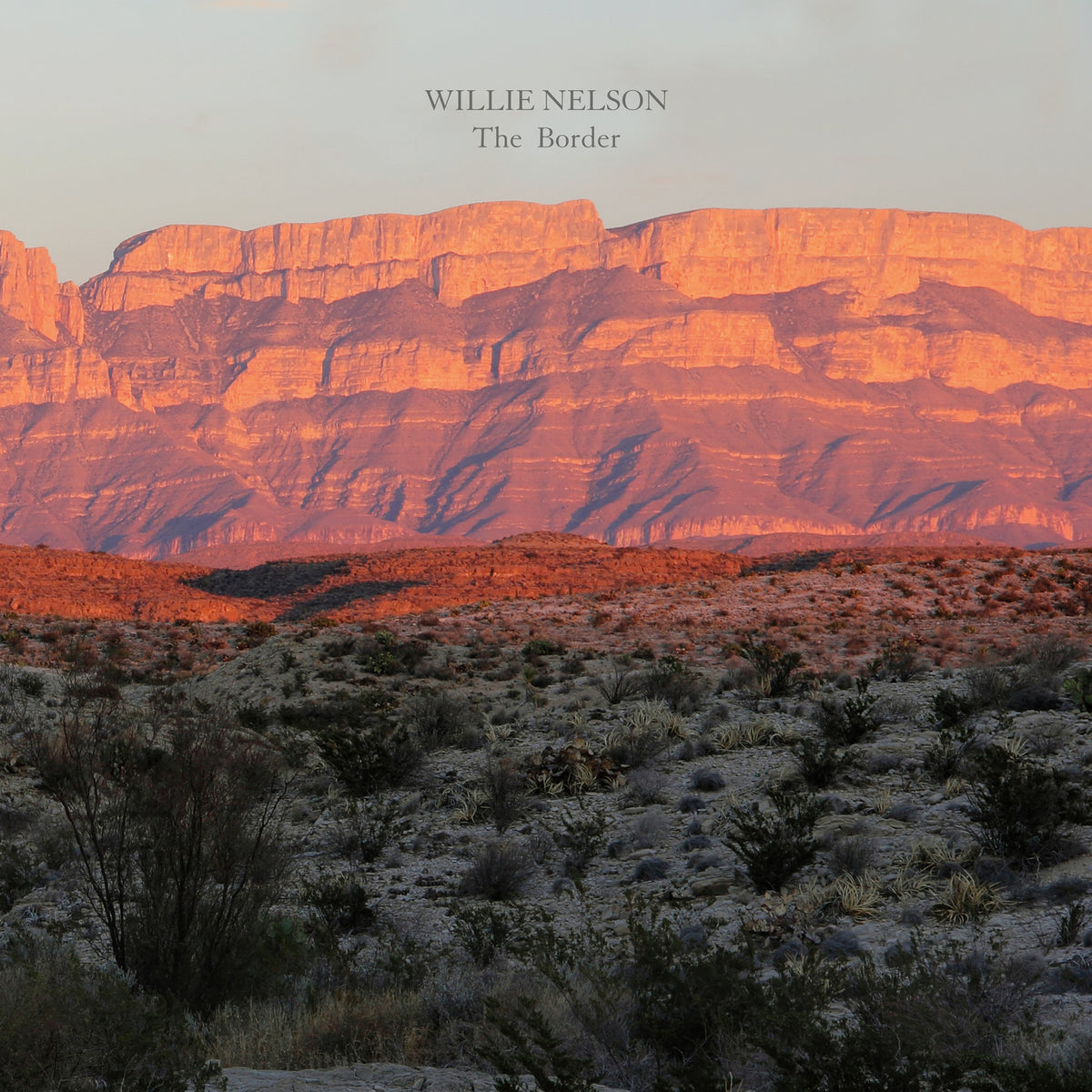 Willie Nelson – The Border  Vinyle, LP, Album