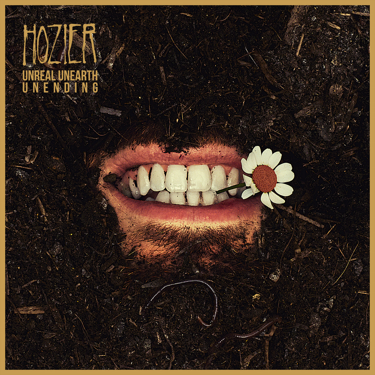 Hozier - Unreal Unearth: Unending Vinyle, LP, Album, Raw Ochre