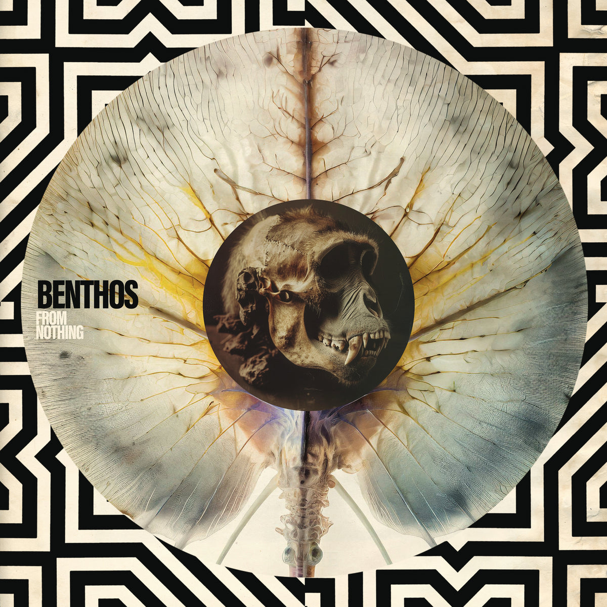 Benthos – From Nothing  Vinyle, LP, Album, Édition limitée, Clear Black Marble