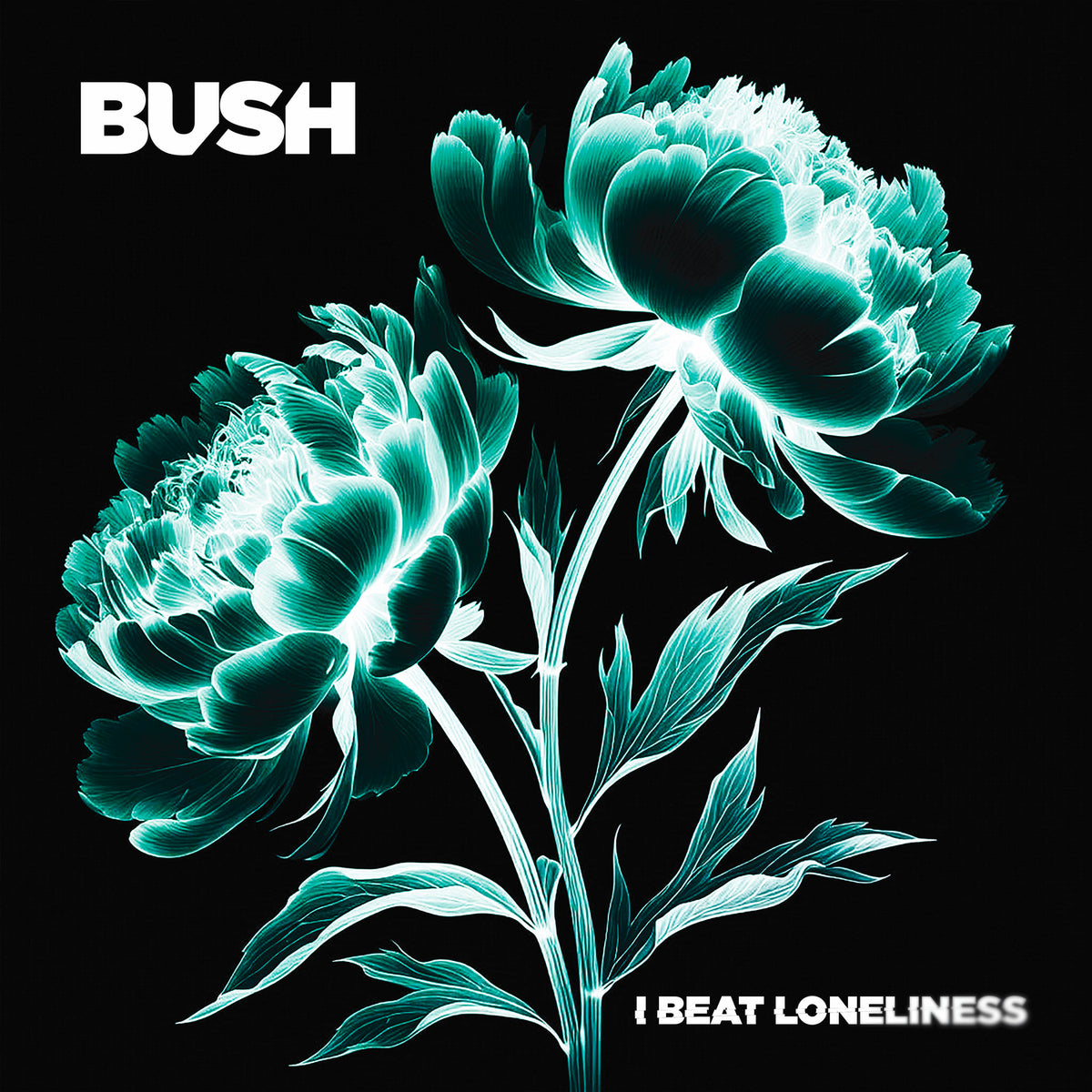 Bush – I Beat Loneliness  2 x Vinyle, LP, Album