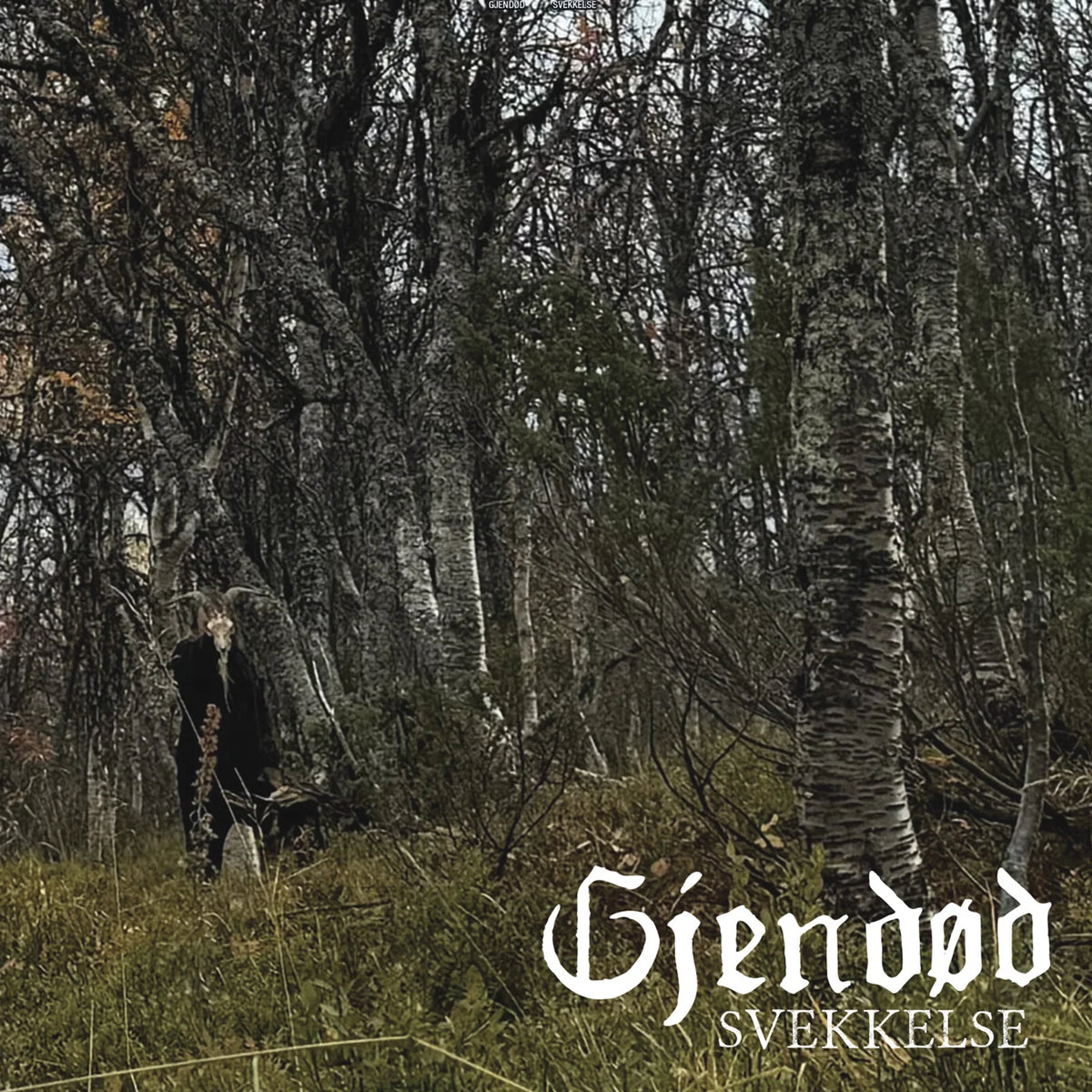 Gjendod - Svekkelse, CD, Album