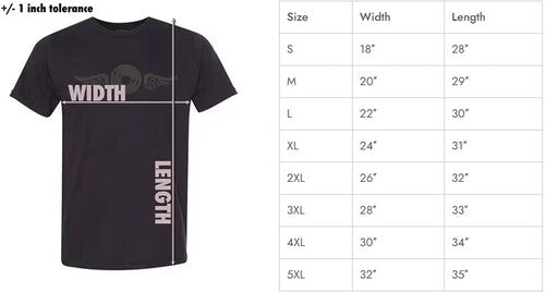 Pink Floyd - Dark Side of the Moon TSHIRT