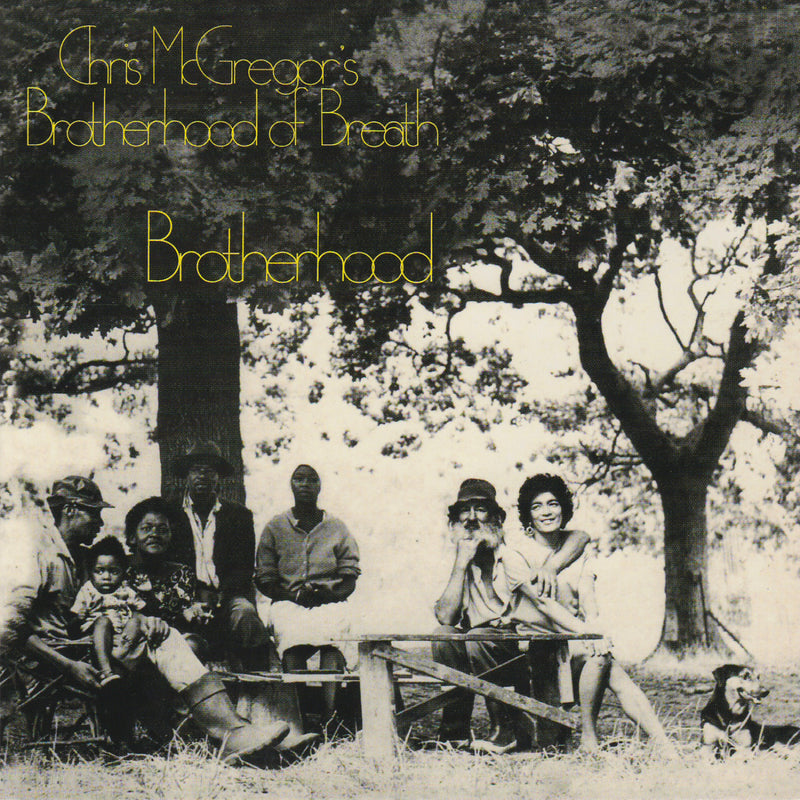 Chris McGregor's Brotherhood Of Breath – Brotherhood  Vinyle, LP, Album, Réédition, Gatefold, 140g, Jaune