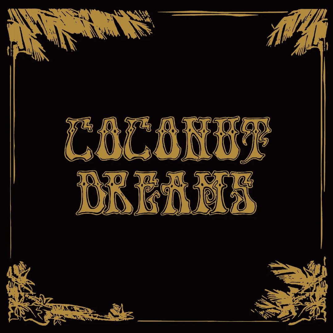 Artistes Divers -Skyrager Presents Coconut Dreams Vol. 1 - 2 x Vinyle, LP