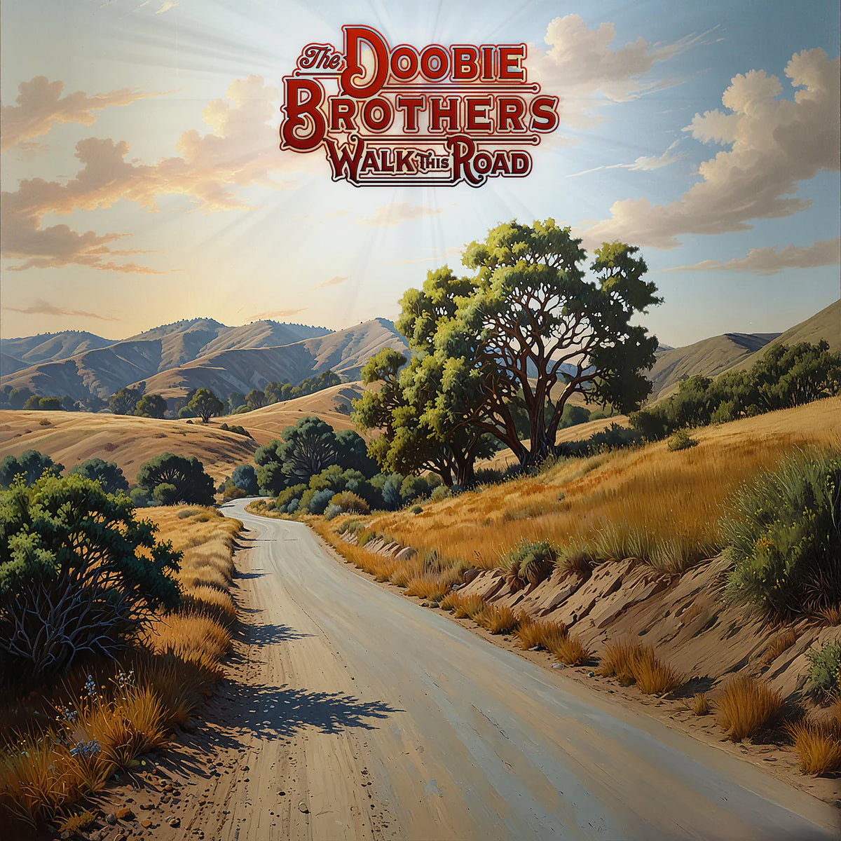 The Doobie Brothers – Walk This Road  Vinyle, LP, Album