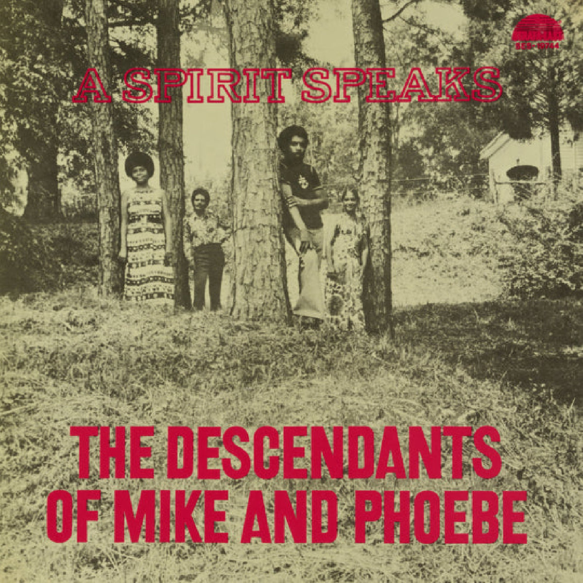 Descendants of Mike and Phoebe - A Spirit Speaks Vinyle, LP, Album, Réédition, Deluxe, 180, Gatefold