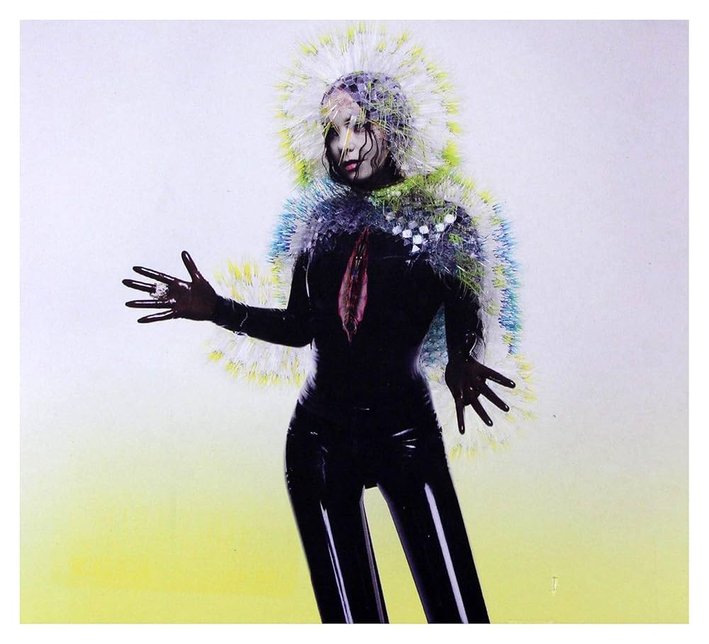 Björk – Vulnicura 2 x Vinyle, LP, Album