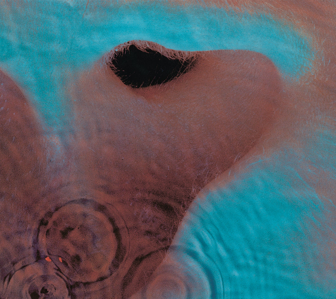 Pink Floyd ‎– Meddle Vinyle, LP, Album, Réédition, Remasterisé, Gatefold, 180g