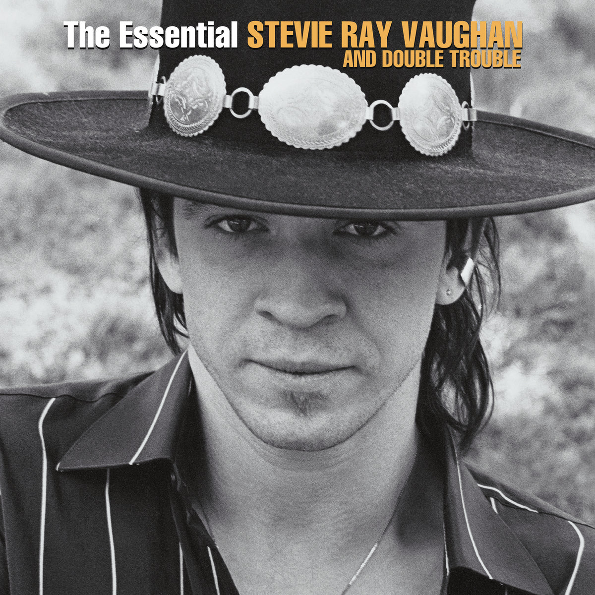 Stevie Ray Vaughan And Double Trouble – The Essential Stevie Ray Vaughan And Double Trouble  2 x Vinyle, LP, Compilation