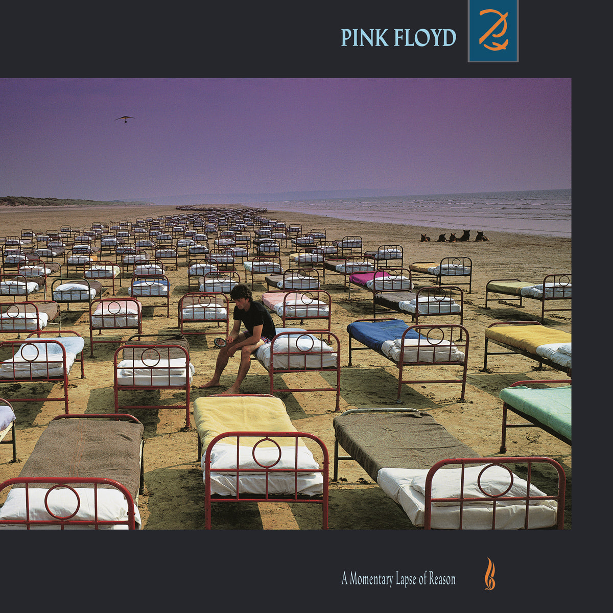 Pink Floyd ‎– A Momentary Lapse Of Reason  Vinyle, LP, Album, Réédition, Remasterisé, Gatefold, 180g