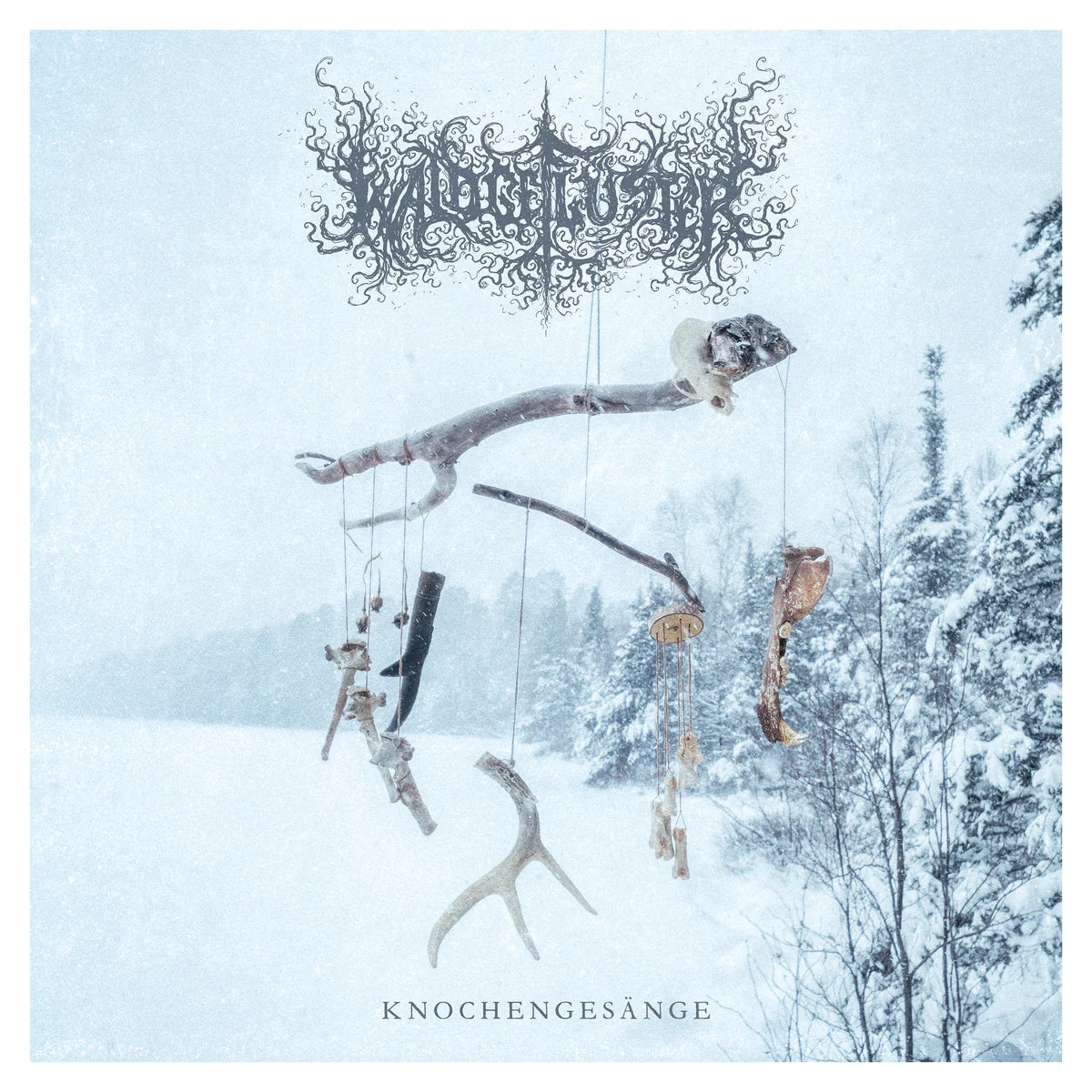 Waldgeflüster - Knochengesänge CD, album
