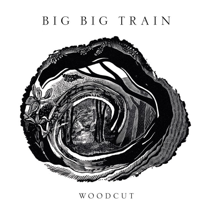 Big Big Train - Woodcut  2 x Vinyle, LP, Album, Gatefold