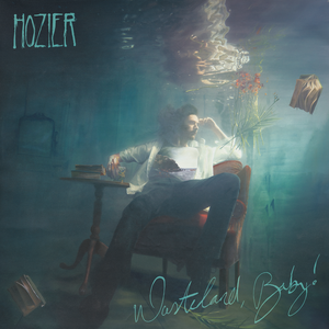 Hozier – Wasteland, Baby! (USAGÉ) 2 x Vinyle, LP, Album