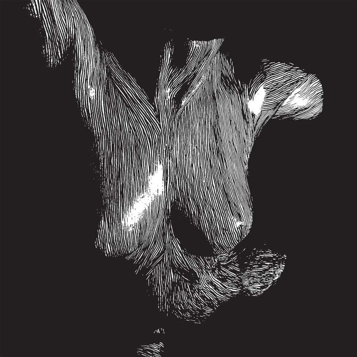 Oceansize - Self Preserved While the Bodies Float Up, 3x LP, Album, Triple Gatefold, Édition 15e anniversaire