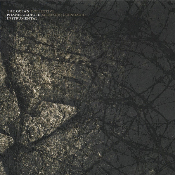 The Ocean Collective – Phanerozoic II: Mesozoic | Cenozoic (Instrumental), pochette