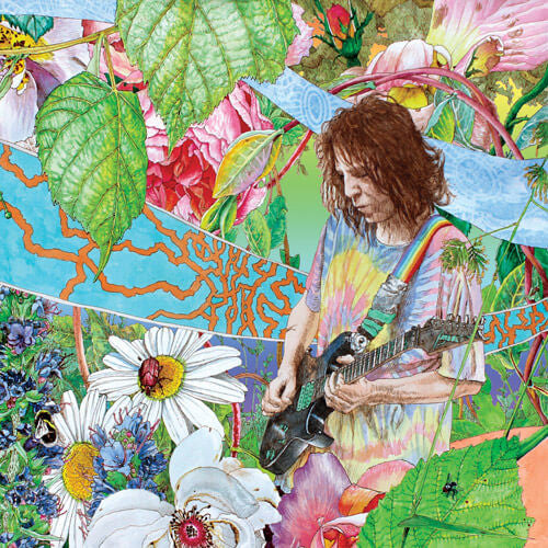 Ed Wynne – Shimmer Into Nature, pochette