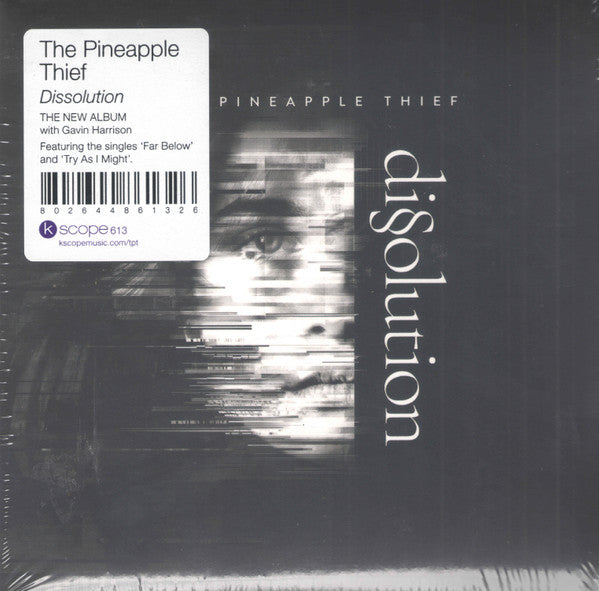 The Pineapple Thief – Dissolution, pochette