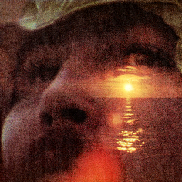 David Crosby – If I Could Only Remember My Name, pochette