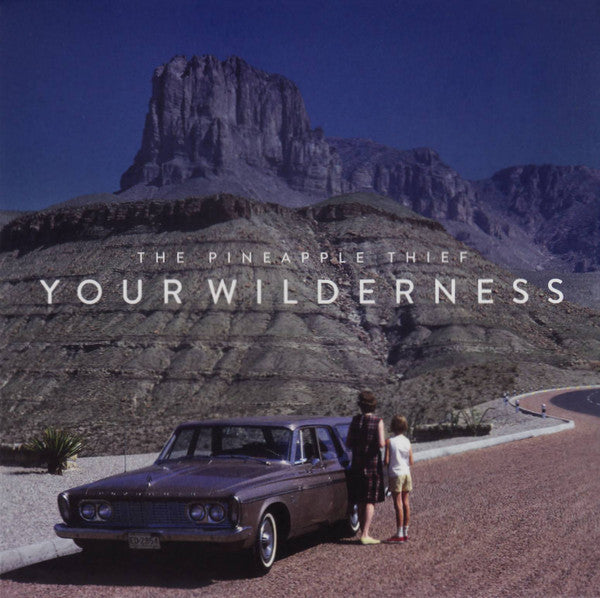 The Pineapple Thief – Your Wilderness, pochette