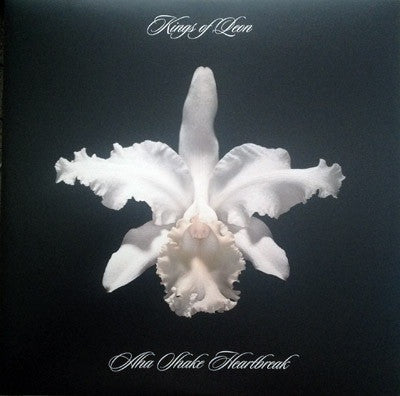 Kings Of Leon – Aha Shake Heartbreak, pochette