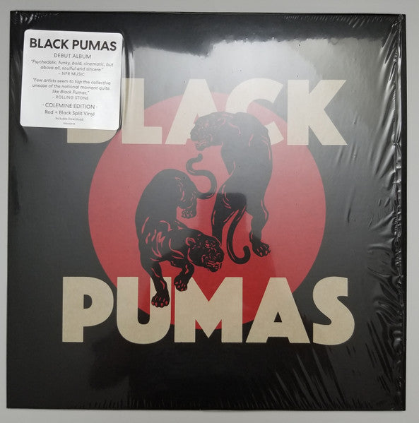 Black Pumas – Black Pumas, pochette
