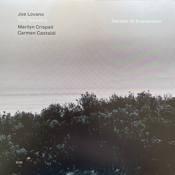Joe Lovano, Trio Tapestry, Marilyn Crispell, Carmen Castaldi – Garden Of Expression, pochette