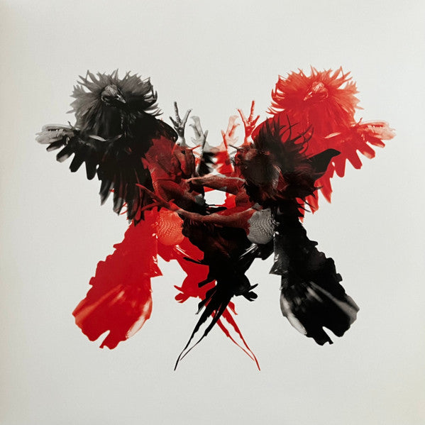 Kings Of Leon – Only By The Night, pochette