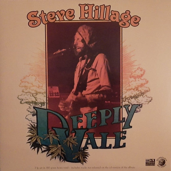Steve Hillage – Deeply Vale, pochette