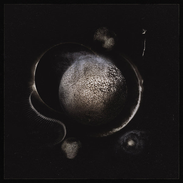 Enthroned – Cold Black Suns, pochette
