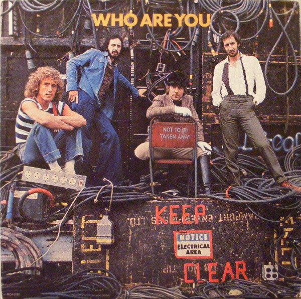 The Who – Who Are You (USAGÉ) Vinyle, LP, Album