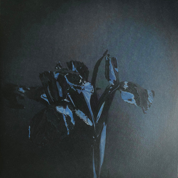 A Swarm Of The Sun – The Rifts 2 x Vinyle, LP, Album, 45 RPM, Blue, Grey, Yellow Merged
