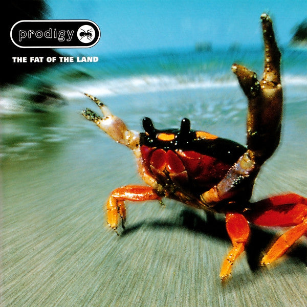 Prodigy – The Fat Of The Land 2 x Vinyle, LP, Album