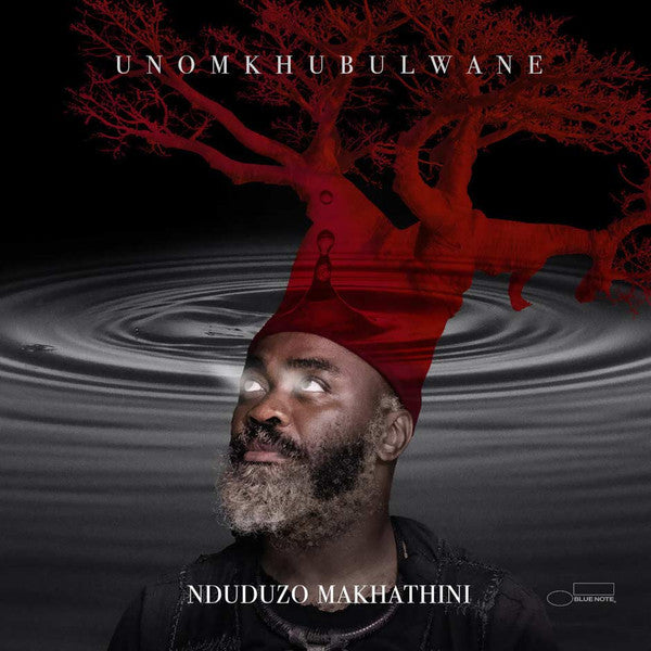 Nduduzo Makhathini – Unomkhubulwane 2 x Vinyle, LP, Album