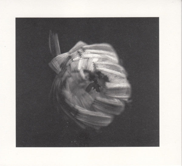 A Swarm Of The Sun – An Empire CD, Album