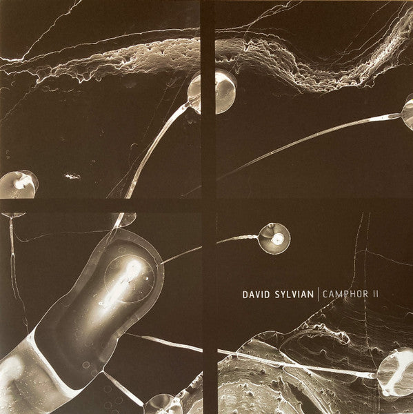 David Sylvian ‎– Camphor II 2 × Vinyle, LP, Record Store Day, Compilation, Réédition, Blanc