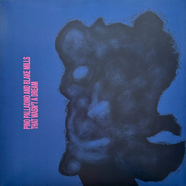 Pino Palladino & Blake Mills – That Wasn't A Dream Vinyle, LP, Album